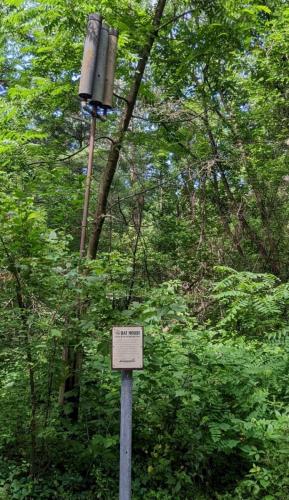 Yellowstone Lake State Park Bat House